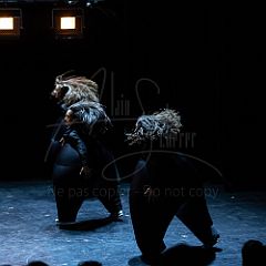 Terre 20210722 026.jpg