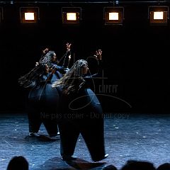 Terre 20210722 028.jpg