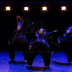 Terre 20210722 036.jpg