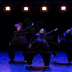 Terre 20210722 037.jpg