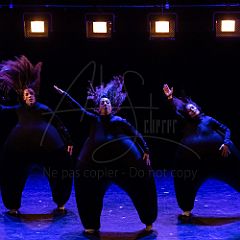 Terre 20210722 038.jpg