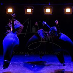 Terre 20210722 039.jpg