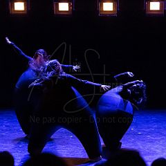 Terre 20210722 056.jpg