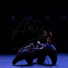 Cie Didier Théron - Terre (Montpellier)