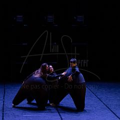 Terre 20220126 023.jpg