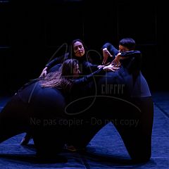 Terre 20220126 024.jpg