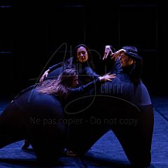 Terre 20220126 025.jpg