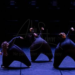 Terre 20220126 032.jpg