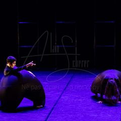 Terre 20220126 043.jpg