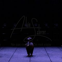 Terre 20220126 044.jpg