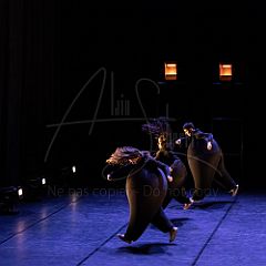 Terre 20220126 047.jpg