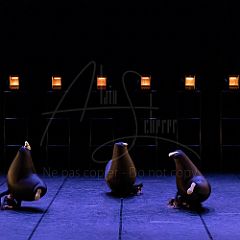 Terre 20220126 049.jpg