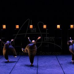 Terre 20220126 050.jpg