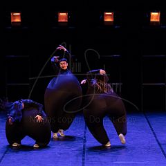 Terre 20220126 060.jpg