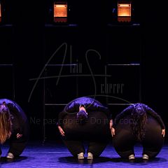 Terre 20220126 086.jpg