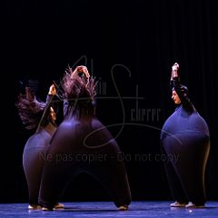 Terre 20220127 019.jpg