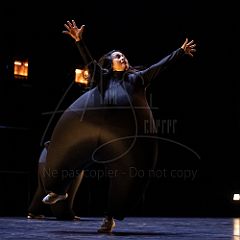 Terre 20220127 040.jpg