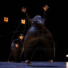 Terre 20220127 041.jpg