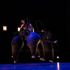 Terre 20220127 047.jpg