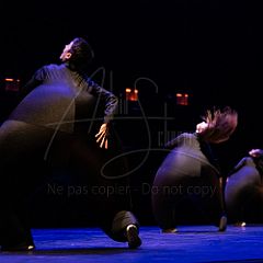 Terre 20220127 052.jpg