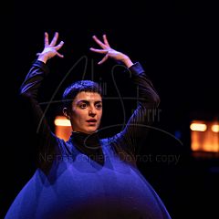 Terre 20220127 059.jpg