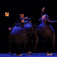 Terre 20220127 075.jpg