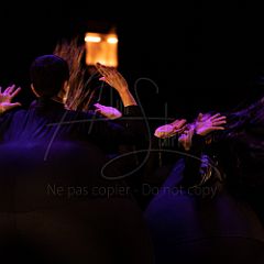 Terre 20220127 082.jpg