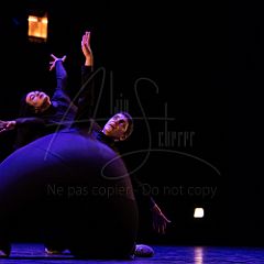 Terre 20220127 093.jpg