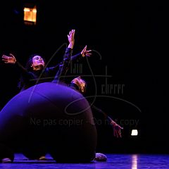 Terre 20220127 094.jpg