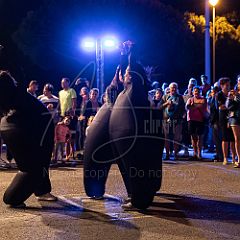 Terre 20190727_009 CPR.jpg