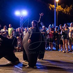 Terre 20190727_010 CPR.jpg