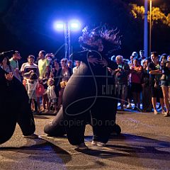 Terre 20190727_011 CPR.jpg