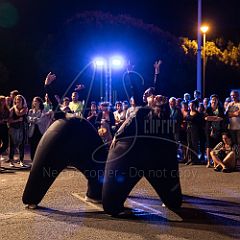 Terre 20190727_012 CPR.jpg