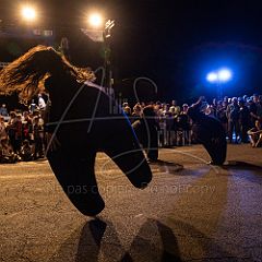 Terre 20190727_016 CPR.jpg