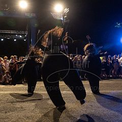 Terre 20190727_022 CPR.jpg