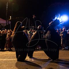 Terre 20190727_043 CPR.jpg