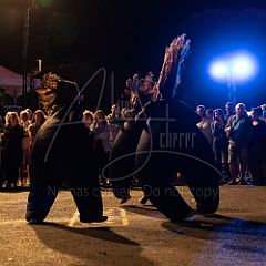 Terre 20190727_045 CPR.jpg