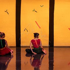 Bloom 20251106 001.jpg