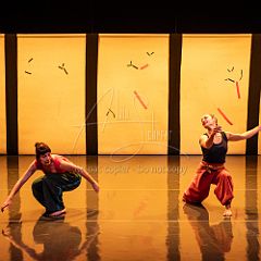 Bloom 20251106 020.jpg