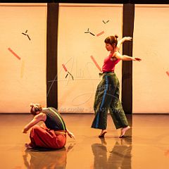 Bloom 20251106 025.jpg