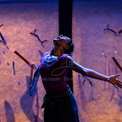 Bloom 20251106 042.jpg