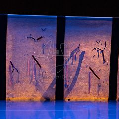 Bloom 20251106 044.jpg