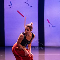 Bloom 20251106 052.jpg