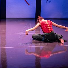 Bloom 20251106 057.jpg