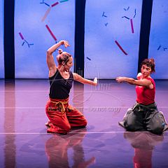 Bloom 20251106 062.jpg