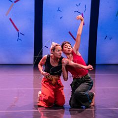 Bloom 20251106 064.jpg