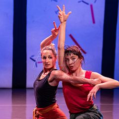 Bloom 20251106 065.jpg