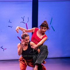 Bloom 20251106 072.jpg