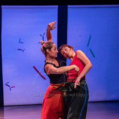 Bloom 20251106 075.jpg