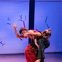 Bloom 20251106 078.jpg